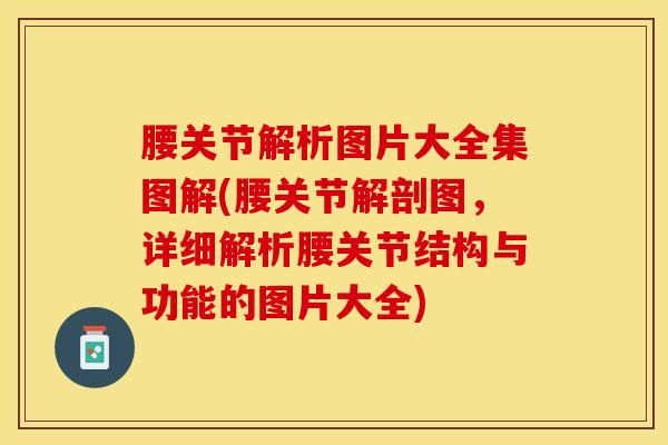 腰关节解析图片大全集图解(腰关节解剖图，详细解析腰关节结构与功能的图片大全)