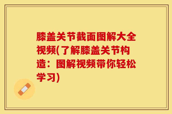 膝盖关节截面图解大全视频(了解膝盖关节构造：图解视频带你轻松学习)