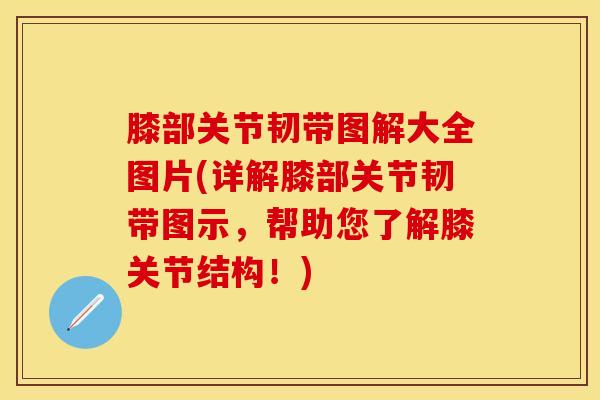 膝部关节韧带图解大全图片(详解膝部关节韧带图示，帮助您了解膝关节结构！)