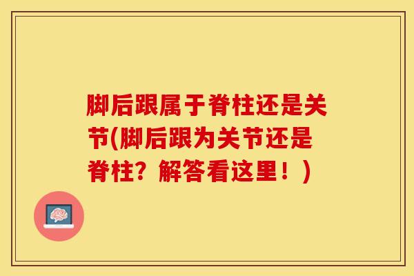 脚后跟属于脊柱还是关节(脚后跟为关节还是脊柱？解答看这里！)