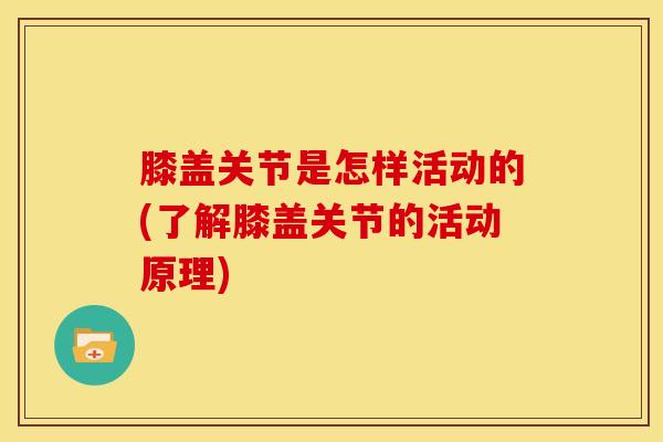 膝盖关节是怎样活动的(了解膝盖关节的活动原理)