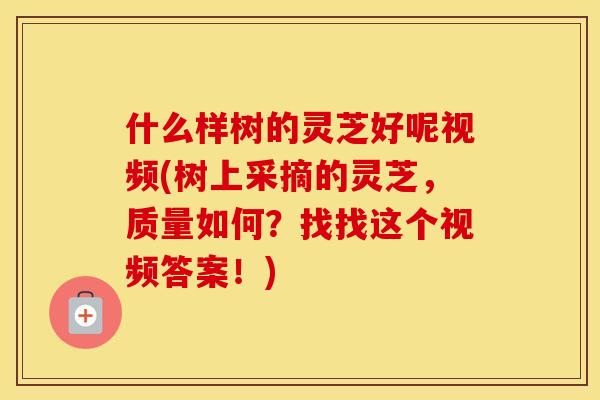 什么样树的灵芝好呢视频(树上采摘的灵芝，质量如何？找找这个视频答案！)