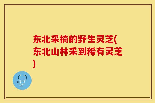 东北采摘的野生灵芝(东北山林采到稀有灵芝)