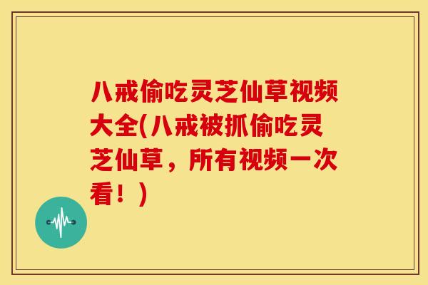 八戒偷吃灵芝仙草视频大全(八戒被抓偷吃灵芝仙草，所有视频一次看！)