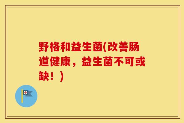 野格和益生菌(改善肠道健康，益生菌不可或缺！)