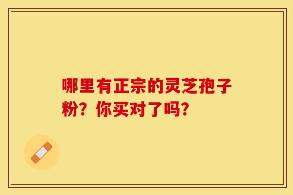 哪里有正宗的灵芝孢子粉?你买对了吗? 哪里有正宗的灵芝孢子粉?你买对了吗?