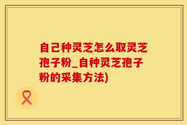 自己种灵芝怎么取灵芝孢子粉_自种灵芝孢子粉的采集方法)