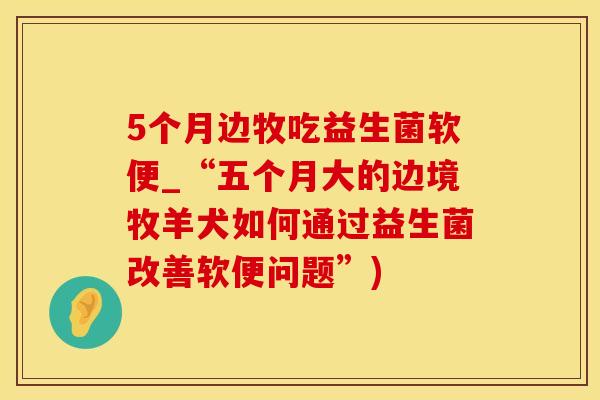 5个月边牧吃益生菌软便_“五个月大的边境牧羊犬如何通过益生菌改善软便问题”)
