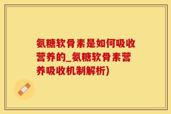 氨糖软骨素是如何吸收营养的_氨糖软骨素营养吸收机制解析)