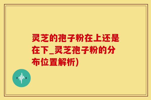 灵芝的孢子粉在上还是在下_灵芝孢子粉的分布位置解析)