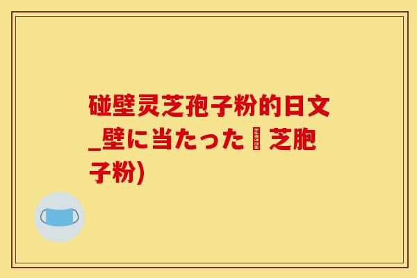 碰壁灵芝孢子粉的日文_壁に当たった霊芝胞子粉)