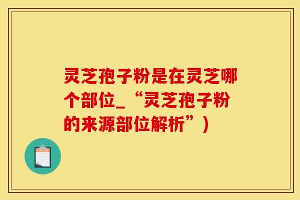 灵芝孢子粉是在灵芝哪个部位_“灵芝孢子粉的来源部位解析”) 灵芝孢子粉是在灵芝哪个部位_“灵芝孢子粉的来源部位解析”)