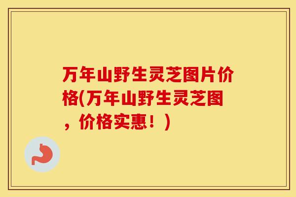 万年山野生灵芝图片价格(万年山野生灵芝图，价格实惠！)