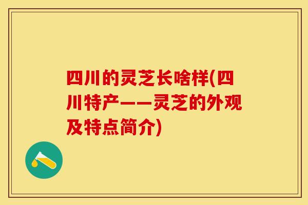 四川的灵芝长啥样(四川特产——灵芝的外观及特点简介)