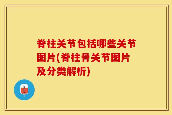 脊柱关节包括哪些关节图片(脊柱骨关节图片及分类解析)