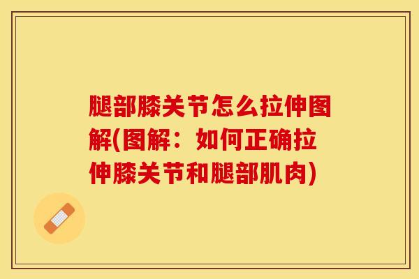 腿部膝关节怎么拉伸图解(图解：如何正确拉伸膝关节和腿部肌肉)