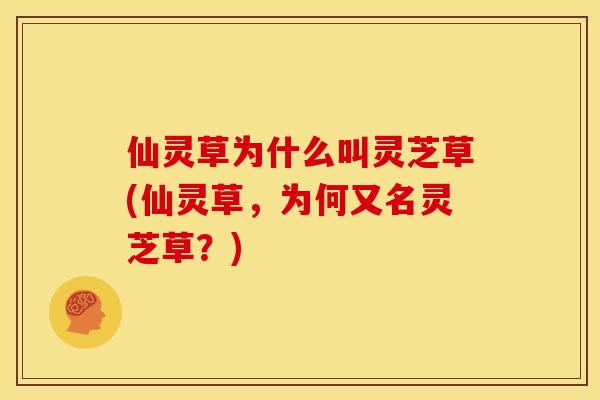 仙灵草为什么叫灵芝草(仙灵草，为何又名灵芝草？)