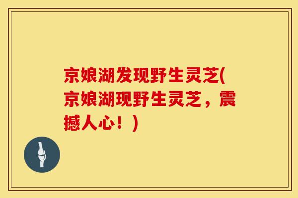 京娘湖发现野生灵芝(京娘湖现野生灵芝，震撼人心！)