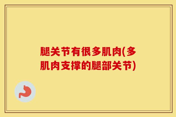腿关节有很多肌肉(多肌肉支撑的腿部关节) 腿关节有很多肌肉(多肌肉支撑的腿部关节)