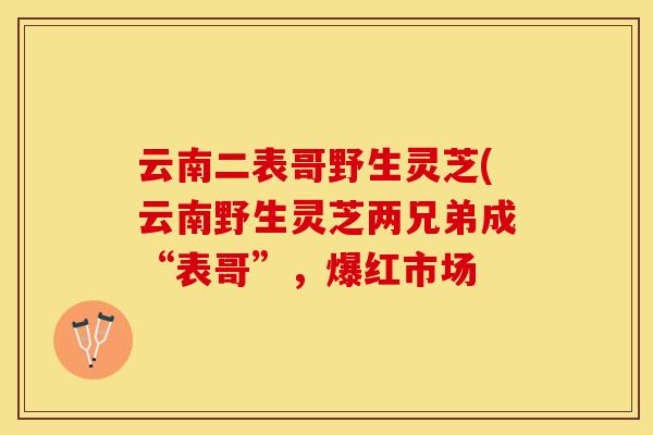 云南二表哥野生灵芝(云南野生灵芝两兄弟成“表哥”，爆红市场
