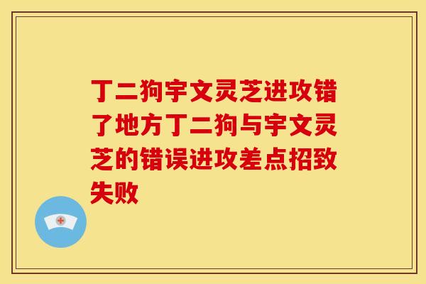 丁二狗宇文灵芝进攻错了地方丁二狗与宇文灵芝的错误进攻差点招致失败