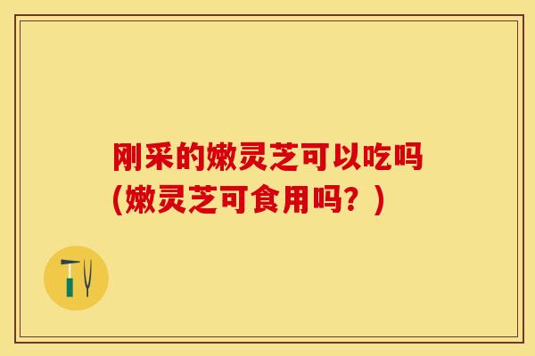 刚采的嫩灵芝可以吃吗(嫩灵芝可食用吗？)