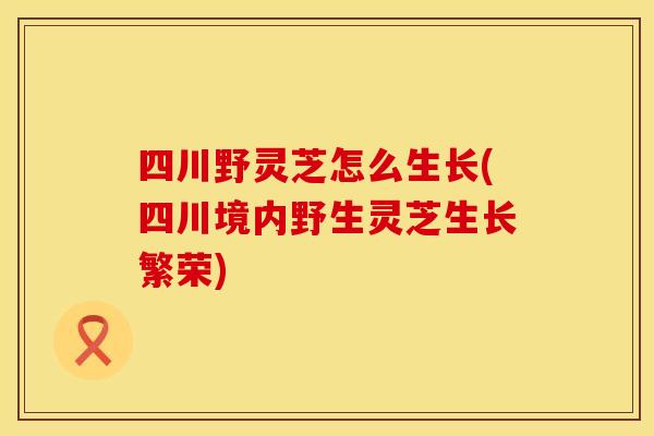 四川野灵芝怎么生长(四川境内野生灵芝生长繁荣)