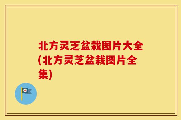 北方灵芝盆栽图片大全(北方灵芝盆栽图片全集)