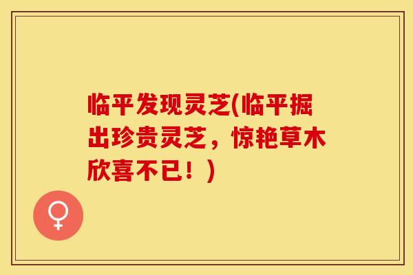 临平发现灵芝(临平掘出珍贵灵芝,惊艳草木欣喜不已!) 临平发现灵芝(临平掘出珍贵灵芝,惊艳草木欣喜不已!)