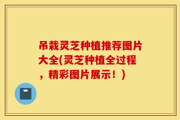 吊栽灵芝种植推荐图片大全(灵芝种植全过程，精彩图片展示！)