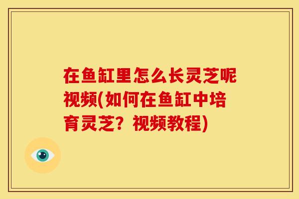 在鱼缸里怎么长灵芝呢视频(如何在鱼缸中培育灵芝？视频教程)