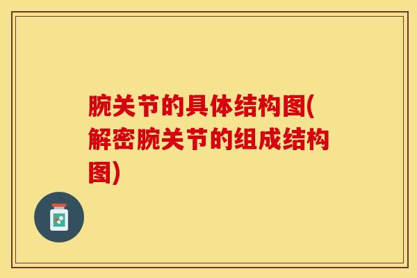 腕关节的具体结构图(解密腕关节的组成结构图)