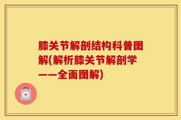 膝关节解剖结构科普图解(解析膝关节解剖学——全面图解)