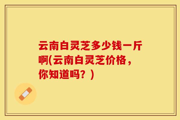 云南白灵芝多少钱一斤啊(云南白灵芝价格，你知道吗？)