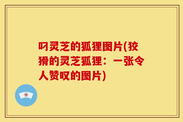 叼灵芝的狐狸图片(狡猾的灵芝狐狸：一张令人赞叹的图片)