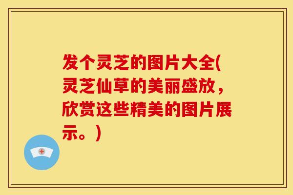 发个灵芝的图片大全(灵芝仙草的美丽盛放，欣赏这些精美的图片展示。)