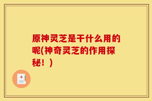 原神灵芝是干什么用的呢(神奇灵芝的作用探秘！)