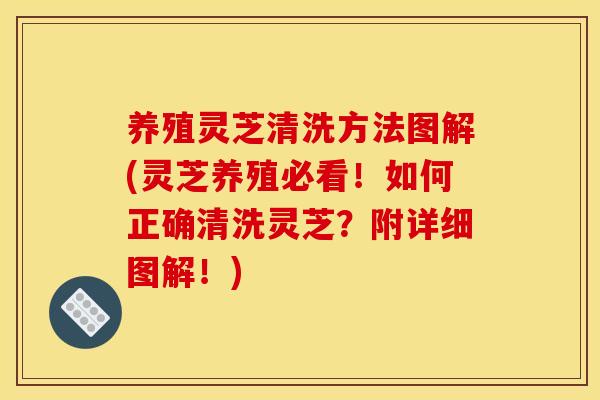 养殖灵芝清洗方法图解(灵芝养殖必看！如何正确清洗灵芝？附详细图解！)