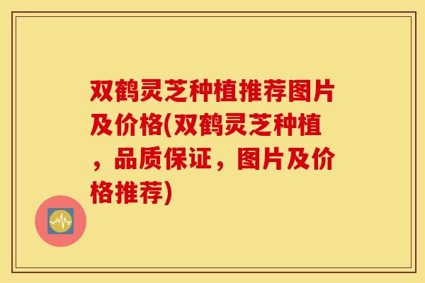 双鹤灵芝种植推荐图片及价格(双鹤灵芝种植，品质保证，图片及价格推荐)