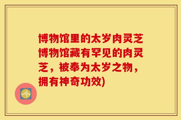 博物馆里的太岁肉灵芝博物馆藏有罕见的肉灵芝，被奉为太岁之物，拥有神奇功效)