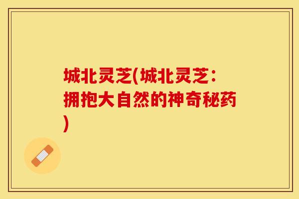 城北灵芝(城北灵芝：拥抱大自然的神奇秘药)