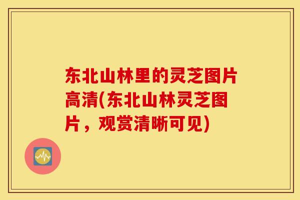 东北山林里的灵芝图片高清(东北山林灵芝图片，观赏清晰可见)