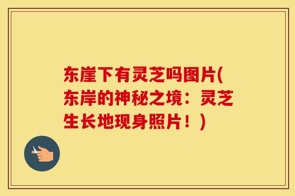 东崖下有灵芝吗图片(东岸的神秘之境：灵芝生长地现身照片！)