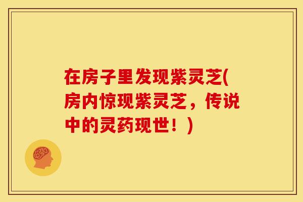 在房子里发现紫灵芝(房内惊现紫灵芝，传说中的灵药现世！)