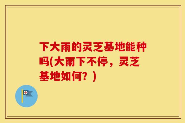 下大雨的灵芝基地能种吗(大雨下不停，灵芝基地如何？)