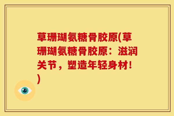 草珊瑚氨糖骨胶原(草珊瑚氨糖骨胶原：滋润关节，塑造年轻身材！)