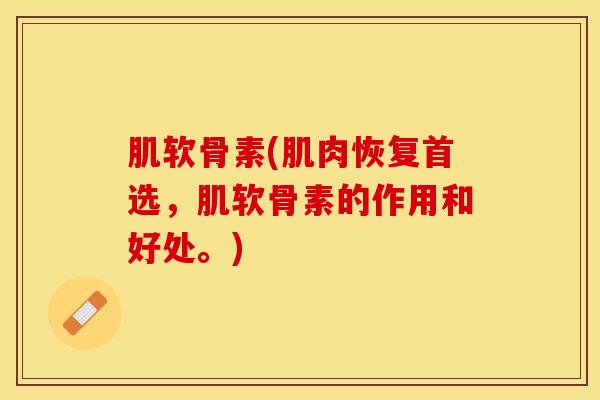 肌软骨素(肌肉恢复首选，肌软骨素的作用和好处。)