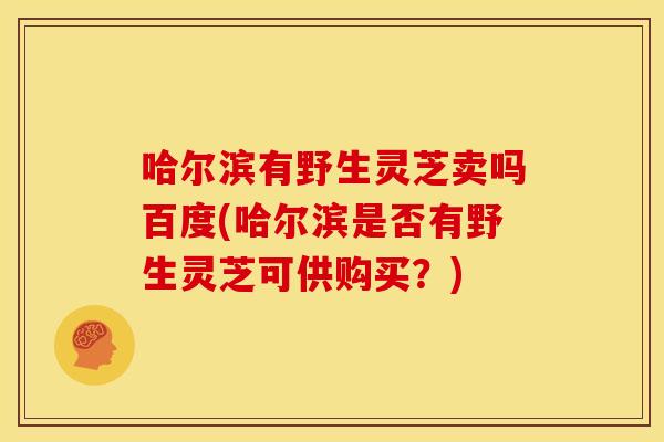 哈尔滨有野生灵芝卖吗百度(哈尔滨是否有野生灵芝可供购买？)
