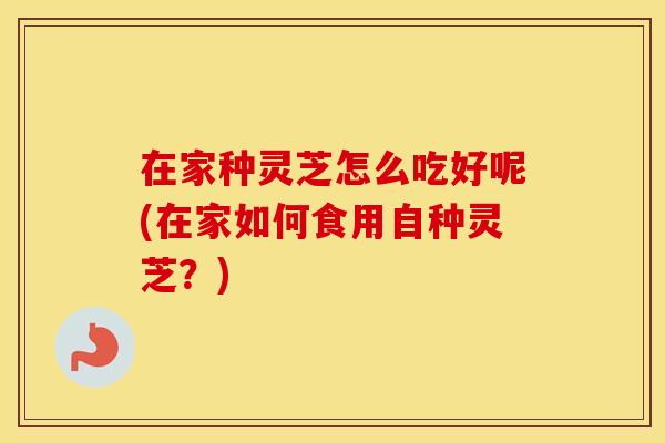在家种灵芝怎么吃好呢(在家如何食用自种灵芝？)