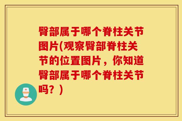 臀部属于哪个脊柱关节图片(观察臀部脊柱关节的位置图片，你知道臀部属于哪个脊柱关节吗？)